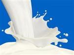 کمبود شیرخام بهانه ای برای واردات شیرخشک است