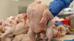 نبود نظارت بر توزیع عامل اصلی آشفتگی در بازار مرغ است