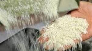 برنج‌های صددرصد ایرانی چقدر واقعیت دارد؟  