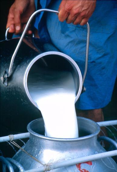 آماده‌ امضای قرارداد خرید 10.5 میلیون تن شیر خام به قیمت 630 تومان هستیم