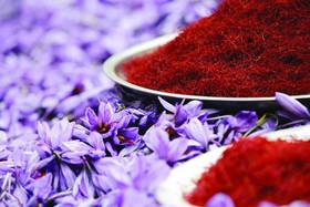 صادرات زعفران ۳۰ درصد افزایش یافت/ کشت بی‌برنامه به صادرات لطمه می‌زند 