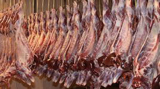 قیمت گوشت گوسفند به ۴۱ هزار تومان رسید