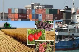 تعلیق ضوابط جدید صادرات محصولات کشاورزی و مواد غذایی