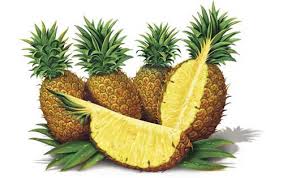 واردات آناناس از فیلیپین مجاز اعلام شد