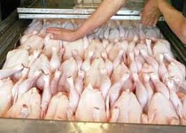  نرخ جدید مرغ و انواع مشتقات آن/قیمت مرغ در آستانه ۹۰۰۰ تومان