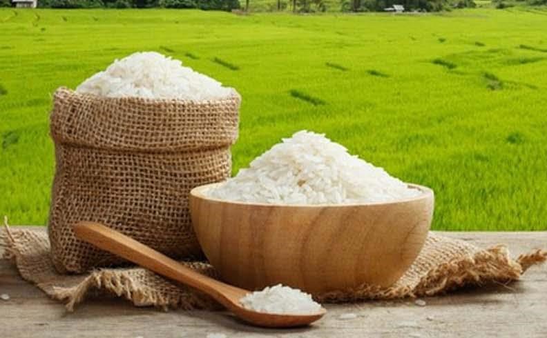کاهش قیمت جهانی برنج