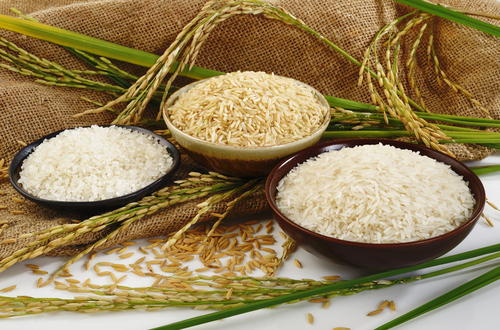 قیمت خرید تضمینی انواع برنج برای سال زراعی 96-95
