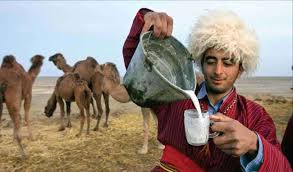 غفلت ایران از بازار جهانی «نوشیدنی سنتی بیابان» / استقبال گردشگران اروپایی از شیر شتر 