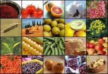 خیز ایران برای صادرات محصولات غذایی در دوران پساتحریم 