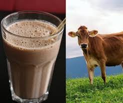 شیر کاکائو مفید است یا مضر؟