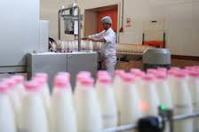 ترفندهای جدید لبنیاتی‌ها برای افزایش قیمت شیر 