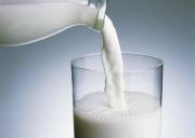 خرید ۱۲۵۵تن شیر خام از دامداران استان تهران در قالب تضمین خرید/ استقبال از طرح تضمین خرید شیرخام