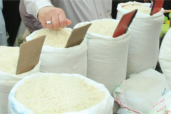 وقتی برنج هندی در مازندران «ری» می‌کند!/ واردات برنج با حواله رانت و فساد است