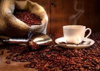 تداوم افزایش قیمت قهوه روبوستا
