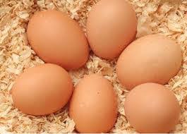 واردات تخم‌مرغ نطفه‌دار و مرغ منجمد برای کنترل بازار