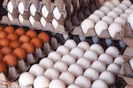 صادرات تخم مرغ متوقف است/ با کمبود تولید مواجه‌ایم