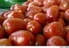 گوجه فرنگی صادراتی کیلویی چند؟