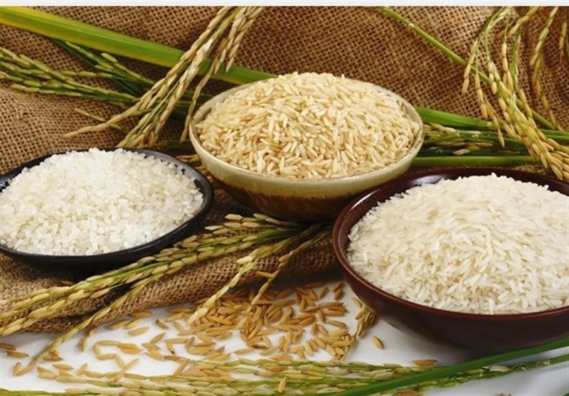 ممنوعیت واردات برنج در فصل برداشت برداشته شد