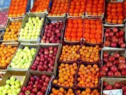 مگس مدیترانه با میوه‌های قاچاق به ایران آمد 