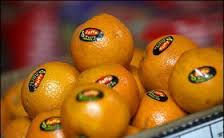 جاسازی نارنگی پاکستانی در سبد میوه‌های ایرانی 