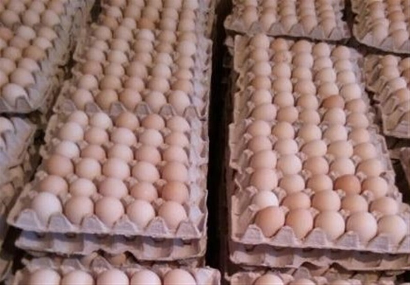 عوارض ۳۵۰۰ تومانی برای صادرات تخم‌مرغ تمدید شد+سند
