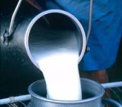 آخرین خبرها از یارانه شیر و صادرات مواد پروتئینی 