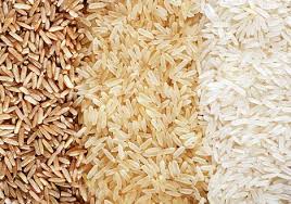 نخستین پروانه استاندارد برنج سبوس دار کشور در گلستان صادر شد 