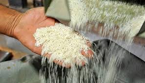 ۸۰ هزار تن برنج تا پایان مرداد ماه با ارز نیمایی ترخیص می‌شود
