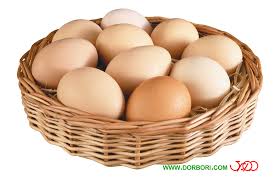 صادرات تخم‌مرغ متوقف شد/ مرغداران تولید را کاهش دهند