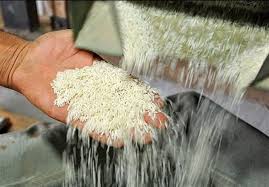 ۹۰۰ هزار تن برنج با ارز دولتی وارد کشور شد
