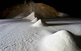  توقف روند صعودی قیمت شکر در پی تضعیف مجدد رآل برزیل