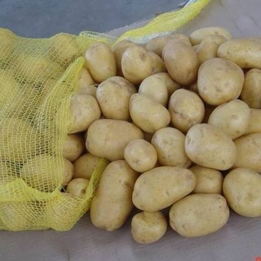 ازبکستان سیب‏‏‌زمینی‌های ایران را برگرداند