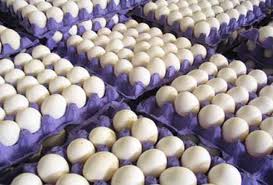 ازسرگیری صادرات تخم مرغ مشروط به اختصاص یارانه است