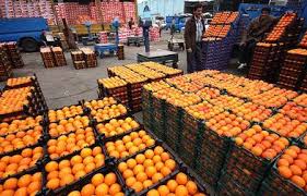 پاسخ قاطع سازمان حمایت به وزارت جهاد کشاورزی درباره گرانی پرتقال و ناتوانی در تنظیم بازار میوه شب عید