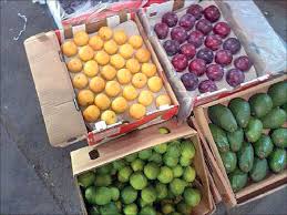 واکنش وزارت جهاد کشاورزی به واردات مجدد میوه‌ / سالانه ۱۷میلیون تن تولیدداریم