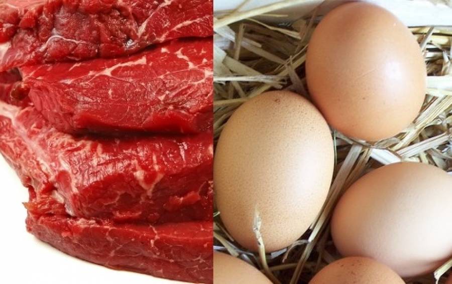 فراخوان تولیدکنندگان تخم‌مرغ و گوشت قرمز به استفاده از فرصت‌های صادراتی