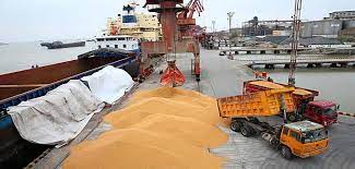 پهلوگیری ۳۲ فروند کشتی حامل کالاهای اساسی در ‌بندر شهیدرجایی/ ۶۰۰هزار تن "برنج، روغن‌نباتی، شکر ‌و گندم" وارد ایران می‌شود