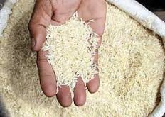 واردات برنج 43 درصد کاهش یافت
