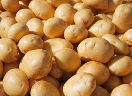 رونق به بازار سیب‌زمینی بازگشت/ یارانه صادراتی 100 هزار تن سیب‌زمینی را از امحا نجات داد 