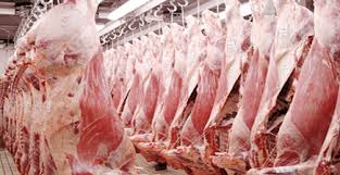 واردات ماهانه ۲۰۰ هزار راس دام زنده/ بازار گوشت تعدیل می شود
