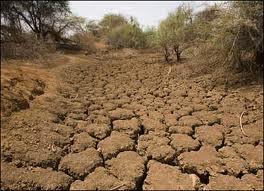 تاثیر فراگیر خشکسالی در آمریکا بر امنیت جهانی غذا