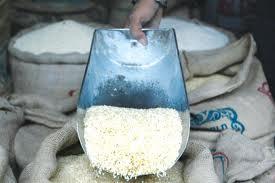 کاهش تولید برنج هند به علت خشکسالی در این کشور