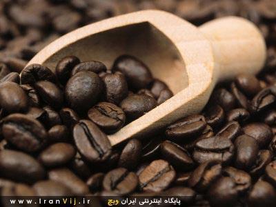 رشد تقاضا برای قهوه روبوستا بیش از قهوه عربی
