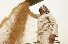 صادرات گندم قزاقستان کاهش دارد