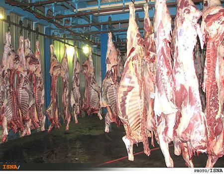 ابلاغ اعتبار ۱۲۰۰میلیارد تومانی خودکفایی گوشت