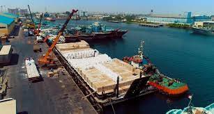 تخلیه همزمان ۳۰۵ هزار تن کالای اساسی در بندر شهید رجایی/ ۱۱ کشتی اقیانوس‌پیما در صف انتظار برای پهلوگیری