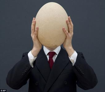 بزرگترین تخم مرغ دنیا را ۱۰۰ هزار دلار خریدند و بردند