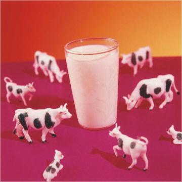 اختلاف ۵ میلیون تنی آمار شیر خام
