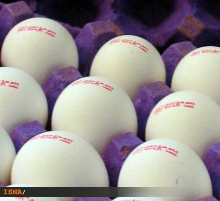 اظهارات مختلف مسئولان درباره قیمت‌ تخم‌مرغ