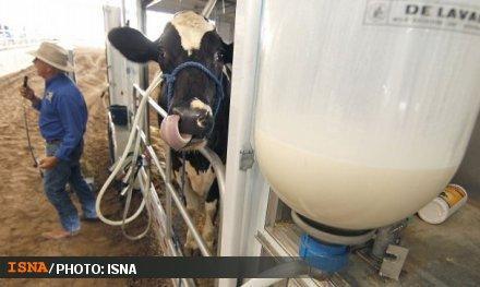 انتقاد شدید از فروش فله‌ای شیر/ وزارت کشاورزی تلاشهای 30 ساله را به باد داد!